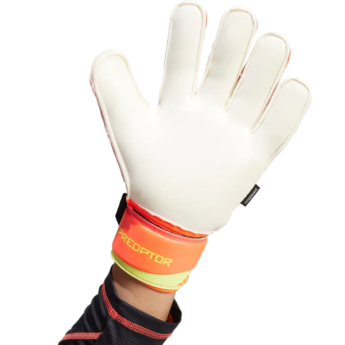 Thumb 3