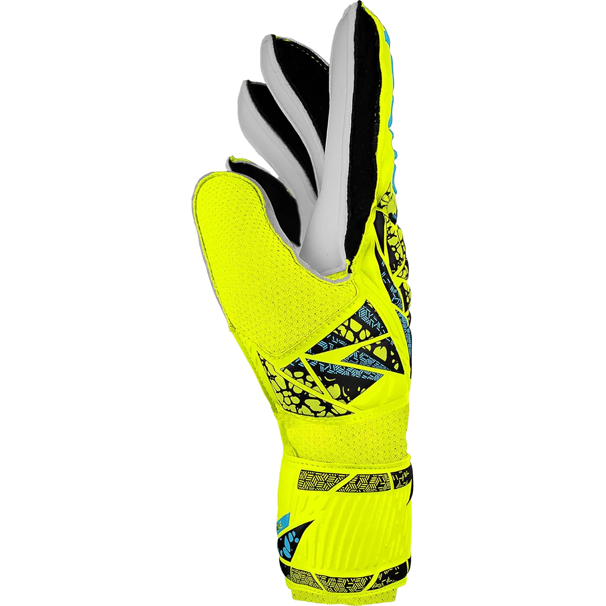 Thumb 4